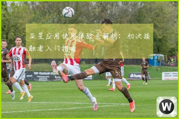 亚星应用使用体验全解析：初次接触者入门指南